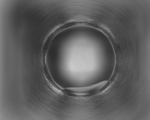X0000075361114200609081208