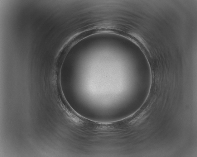 X0000075361115200609081208