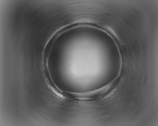X0000075361116200609081208