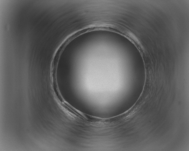 X0000075361124200609081208