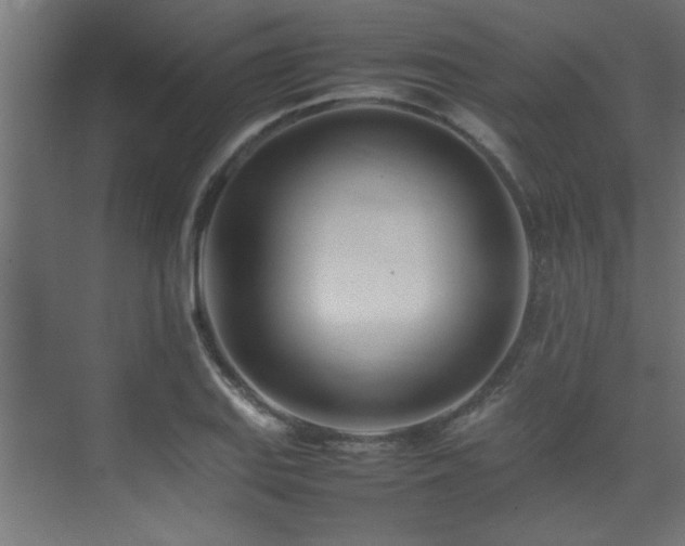 X0000075361127200609081208