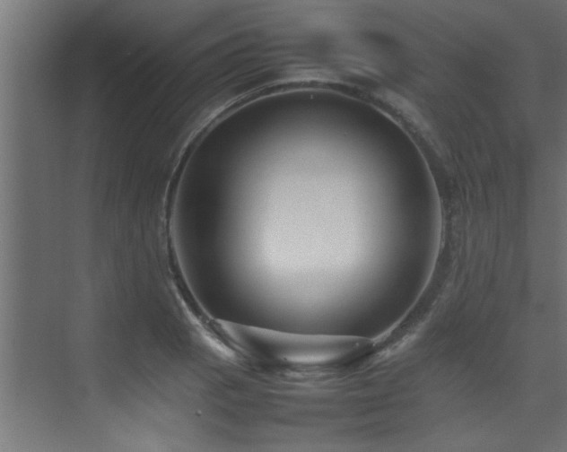 X0000075361129200609081208