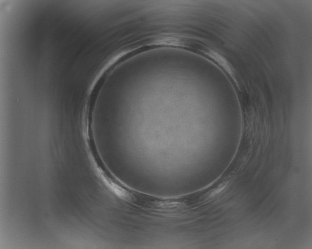 X0000075361131200609081208