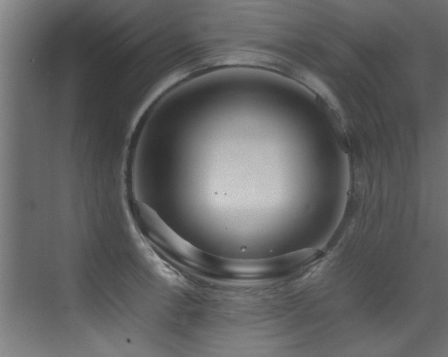 X0000075361138200609081208