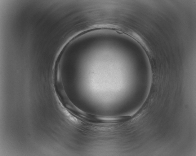 X0000075361140200609081208