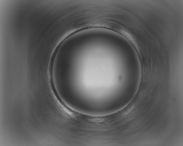 X0000075361141200609081208