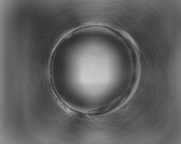 X0000075361148200609081209