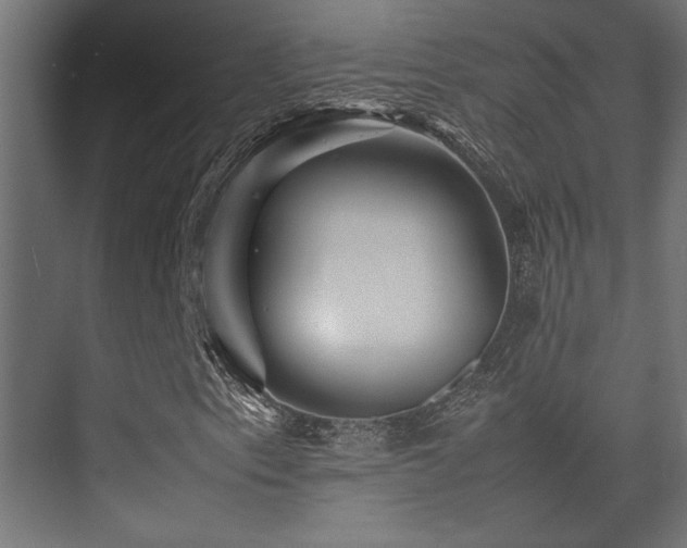 X0000075361153200609081208
