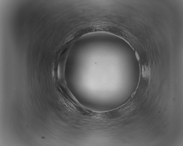 X0000075361155200609081208