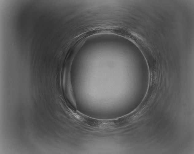 X0000075361161200609081208