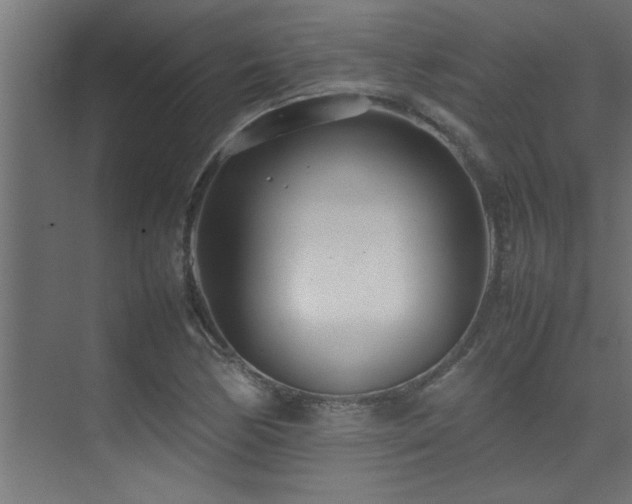 X0000075361170200609081208