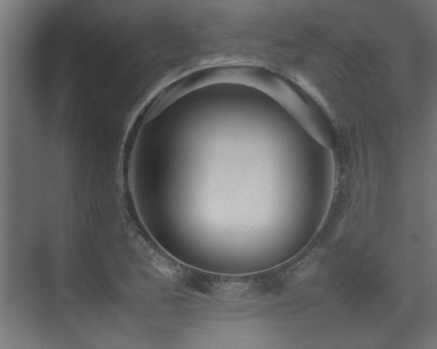 X0000075361173200609081208
