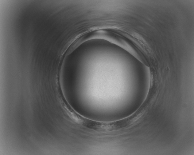 X0000075361177200609081207