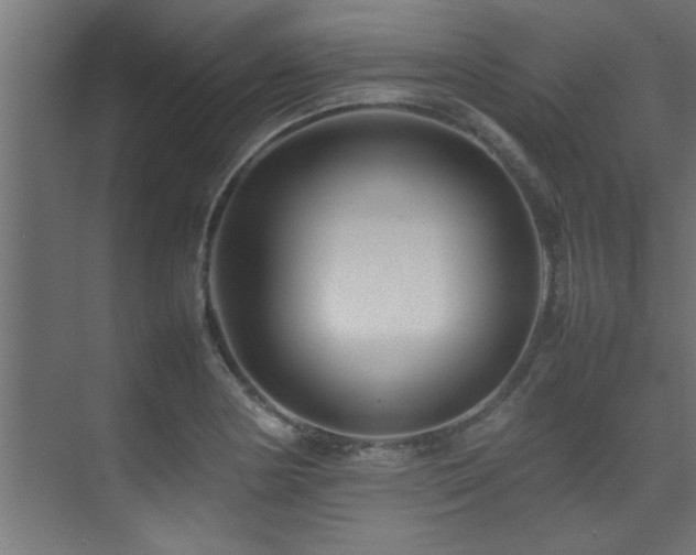 X0000075361178200609081207