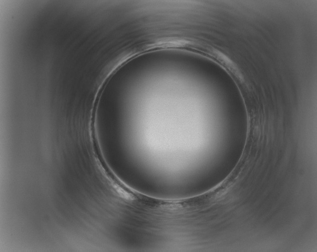 X0000075361186200609081207