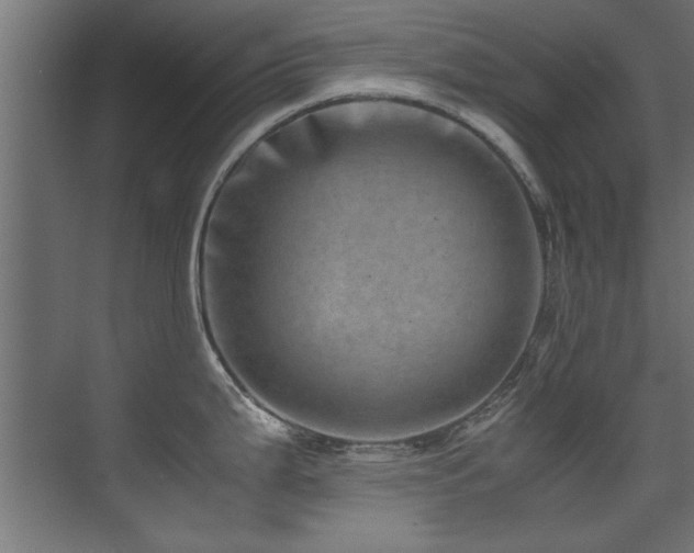 X0000075361199200609081207