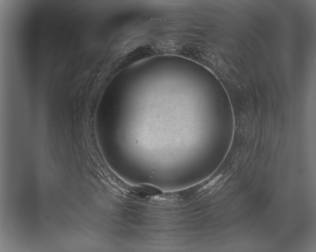 X0000075361201200609081206