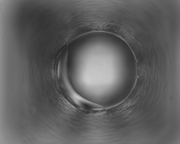 X0000075361202200609081206