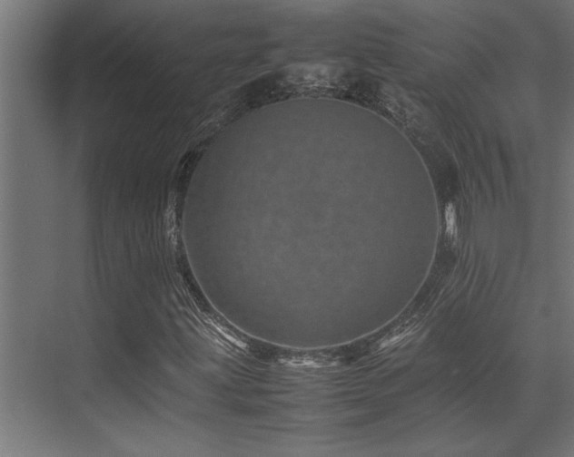 X0000075361203200609081206