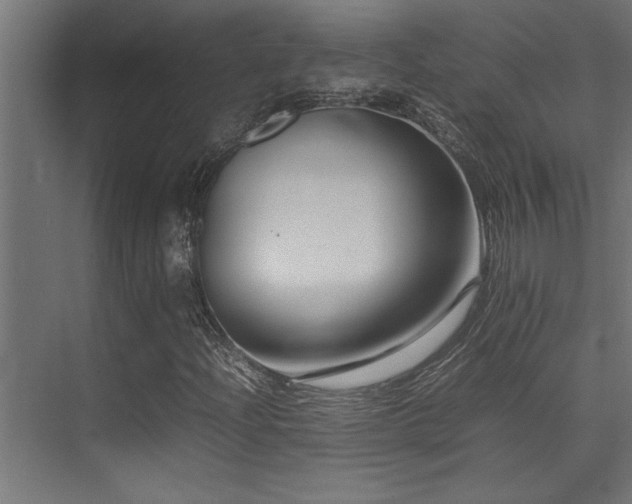 X0000075361204200609081206
