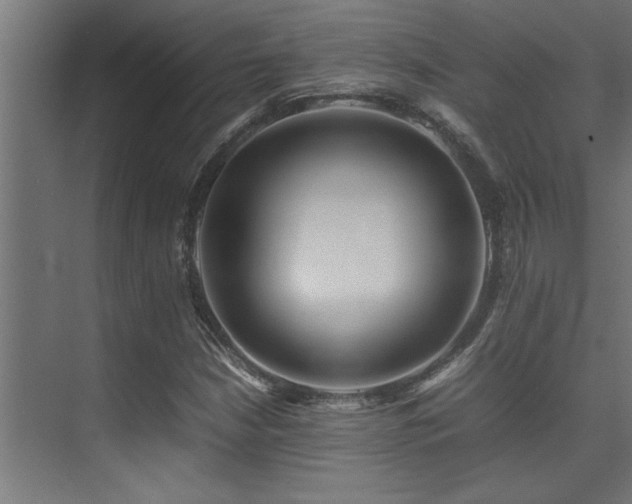 X0000075361210200609081206