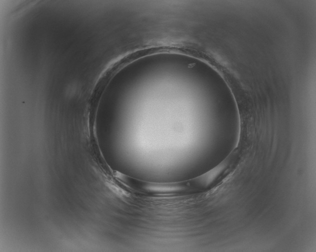X0000075361214200609081206