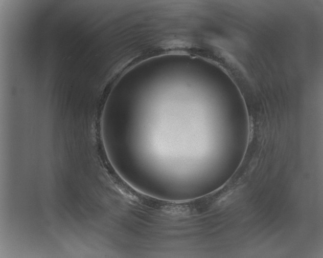 X0000075361217200609081207