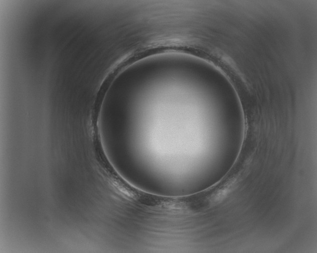 X0000075361218200609081207