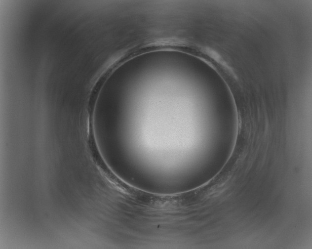 X0000075361221200609081207