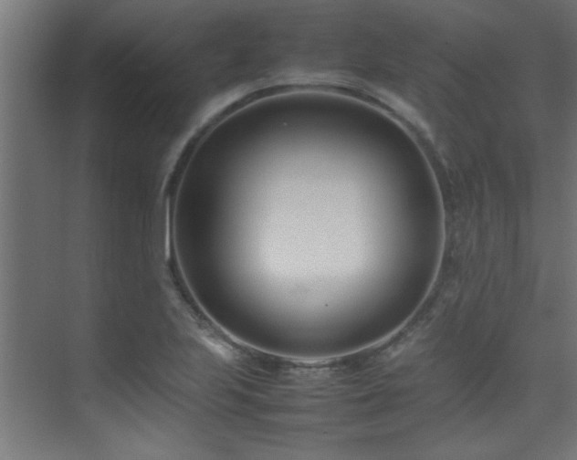 X0000075361223200609081207