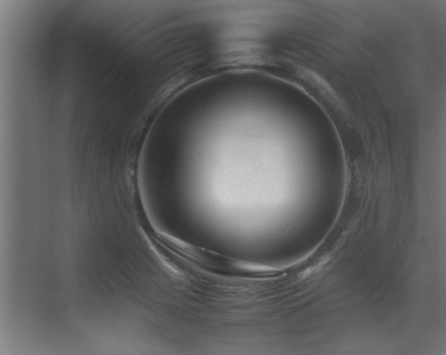 X0000075361225200609081207