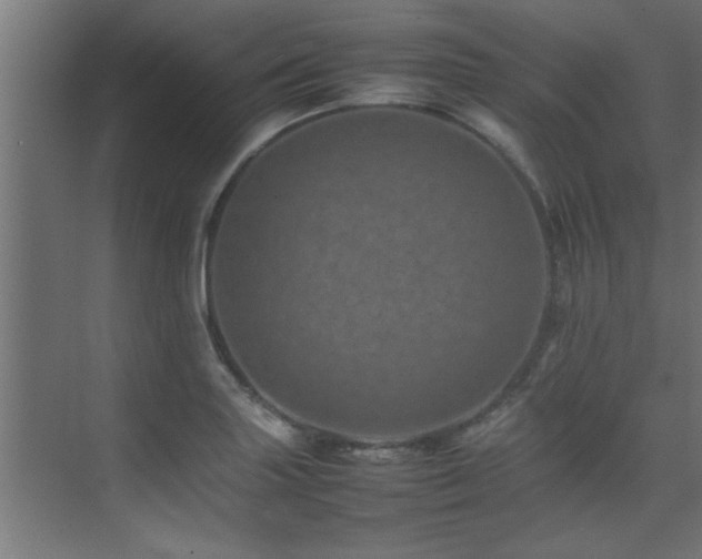 X0000075361227200609081207