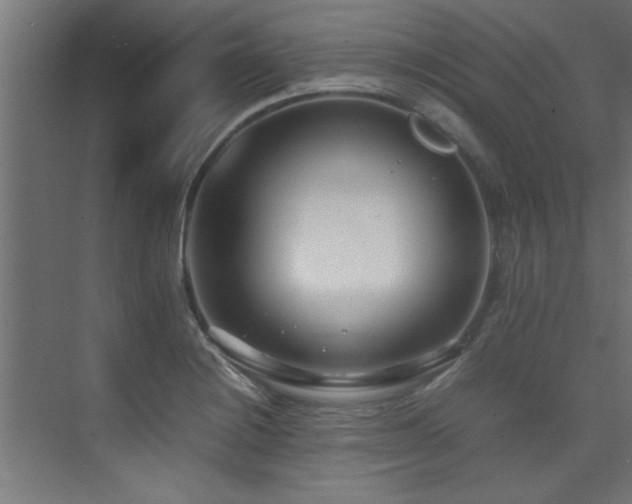 X0000075361228200609081207