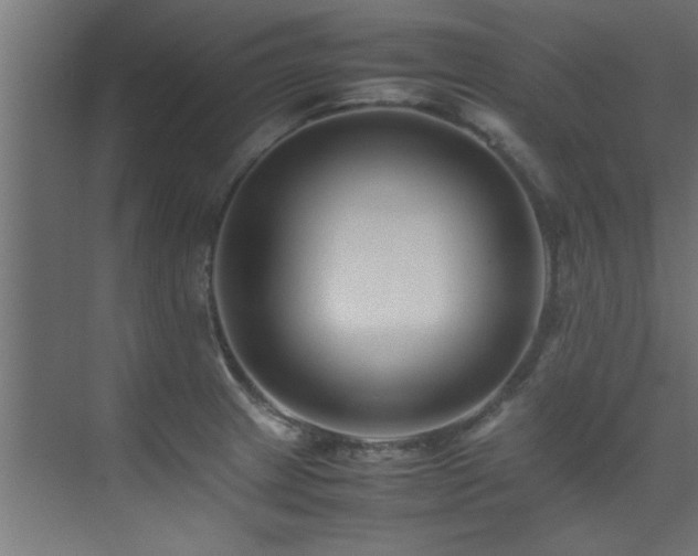 X0000075361233200609081207