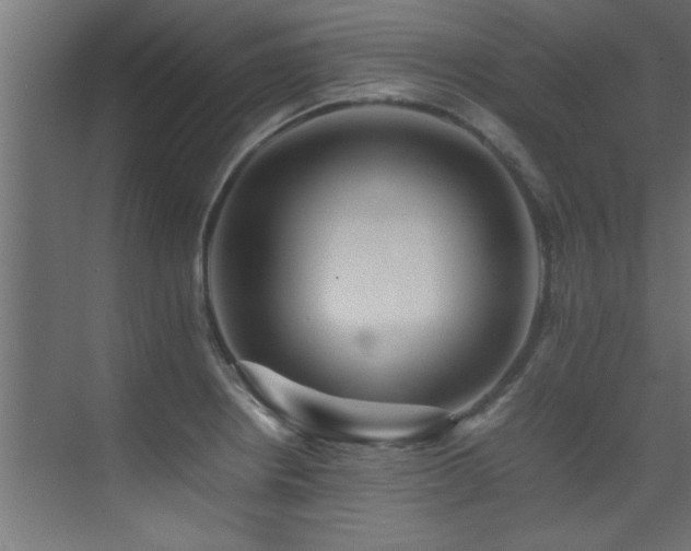 X0000075361234200609081207