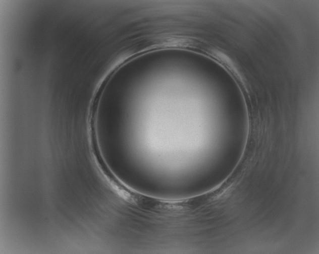 X0000075361235200609081207