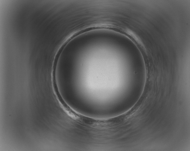 X0000075361237200609081207
