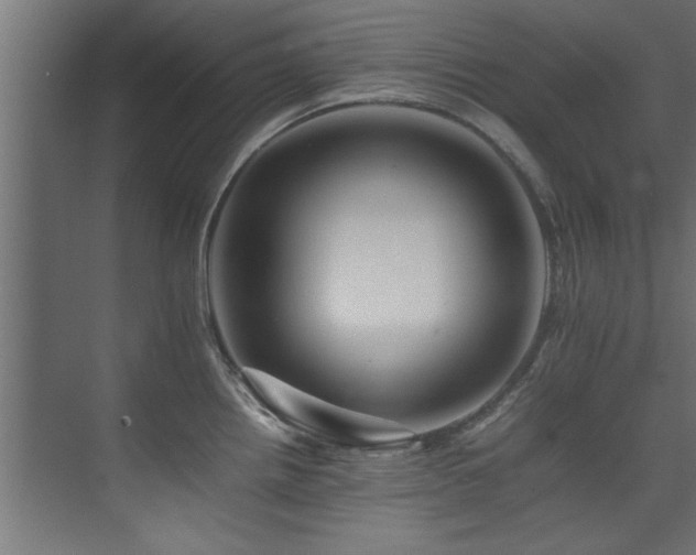 X0000075361242200609081207