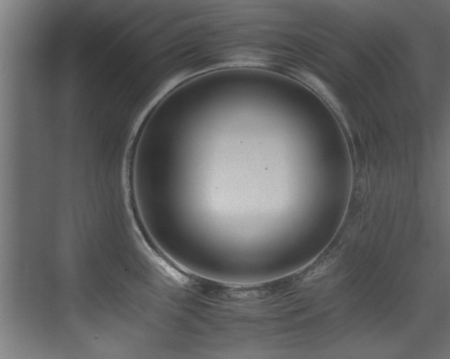X0000075361243200609081207