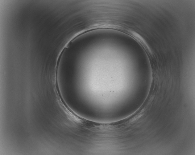 X0000075361244200609081207
