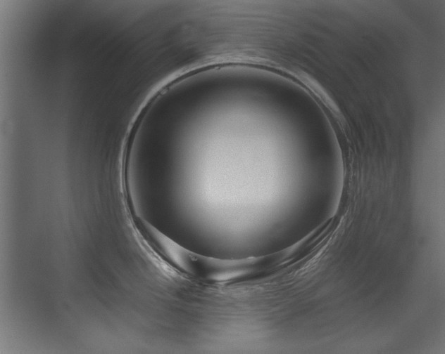 X0000075361246200609081207