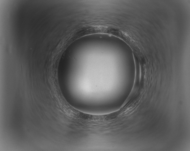 X0000075361249200609081206