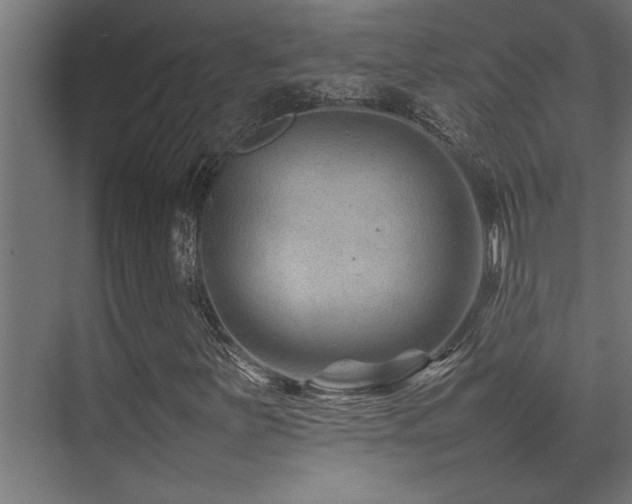 X0000075361251200609081206