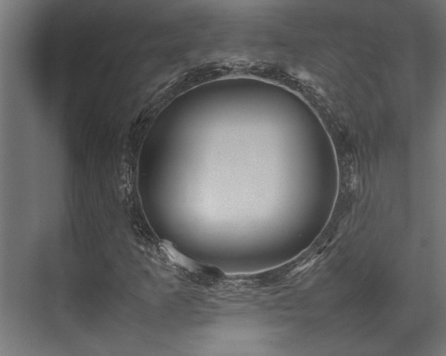 X0000075361253200609081206