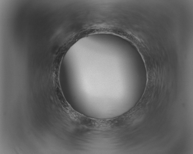 X0000075361254200609081206