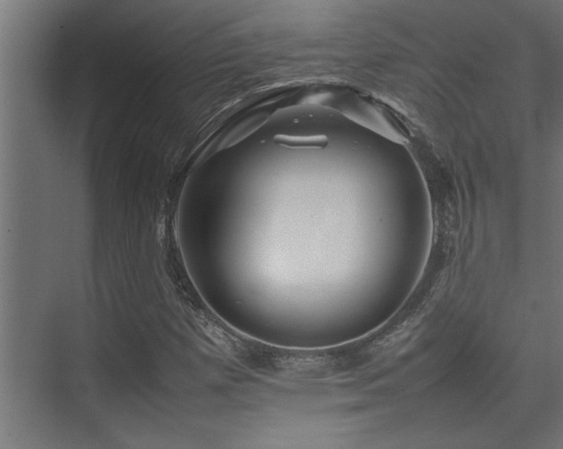 X0000075361257200609081206
