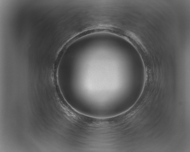 X0000075361260200609081206