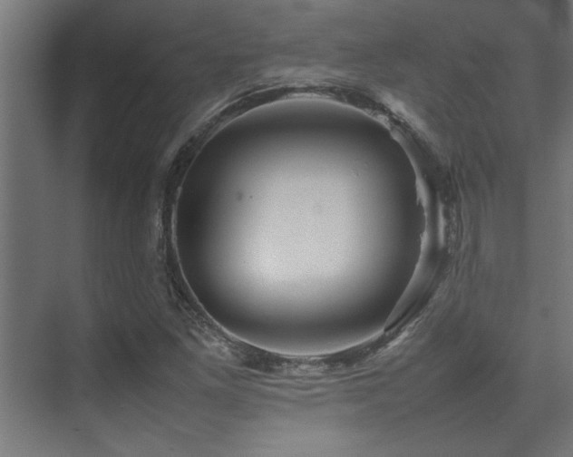 X0000075361261200609081206