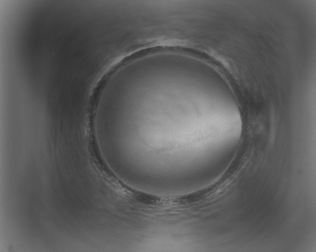 X0000075361263200609081206