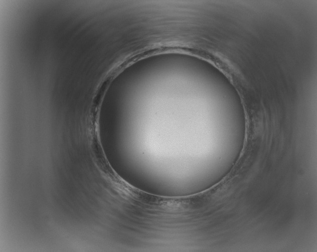 X0000075361266200609081206